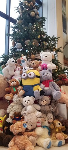 Teddy Bears and Christmas Tree at Church of Scientology Los Angeles